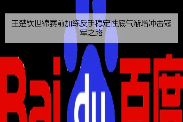 王楚钦世锦赛前加练反手稳定性底气渐增冲击冠军之路